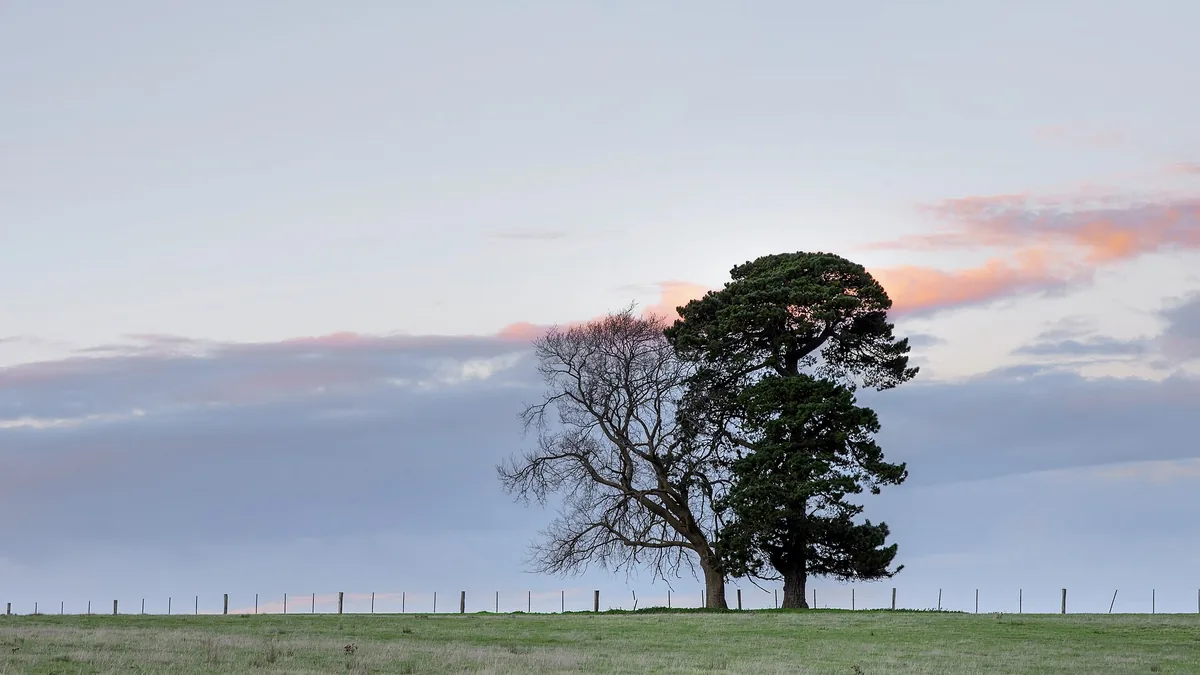 Geelong wine country, Victoria