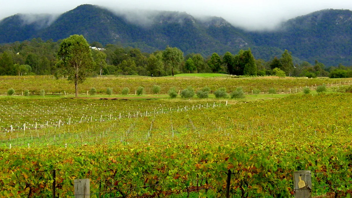 Hunter wine country, New South Wales