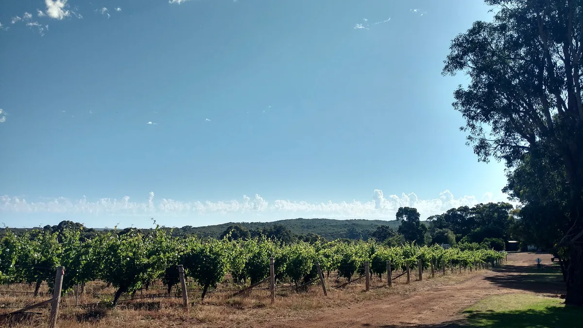 Margaret River wine country, Western Australia