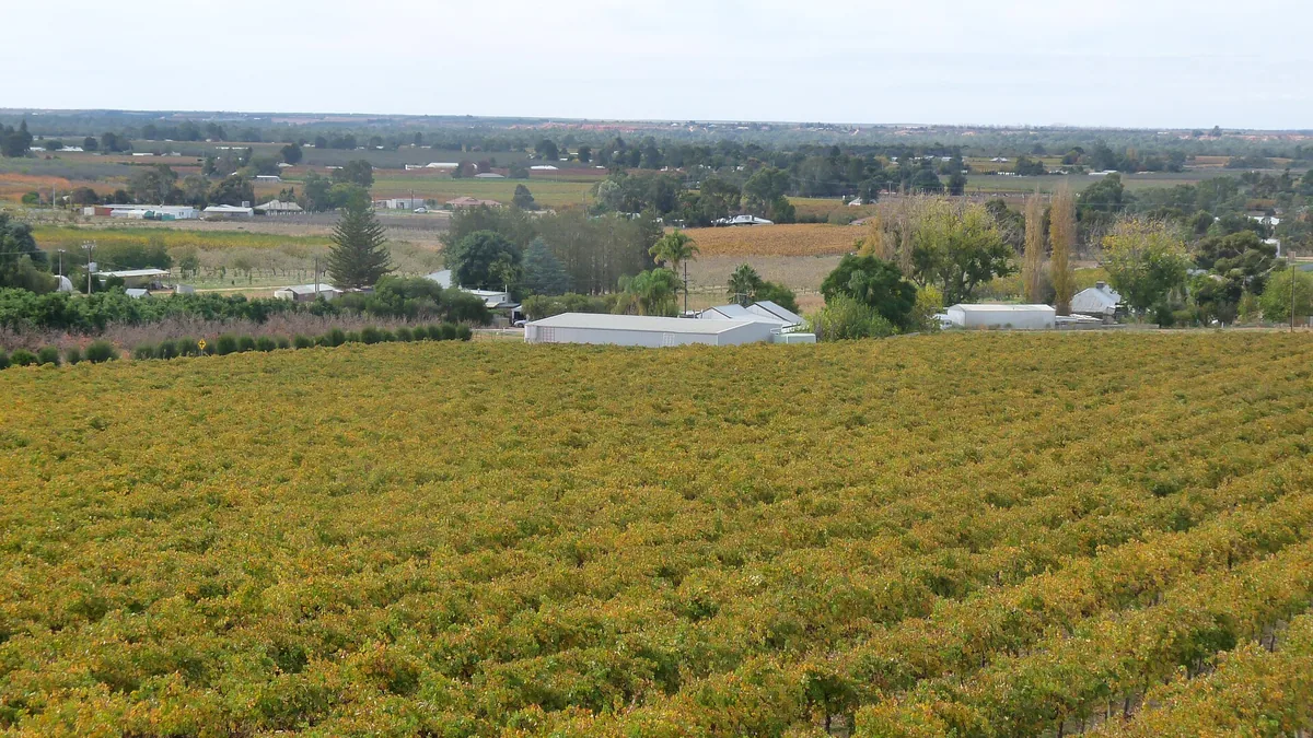 Riverland wine country, South Australia