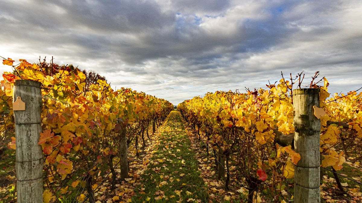 Tasmania wine country, Tasmania