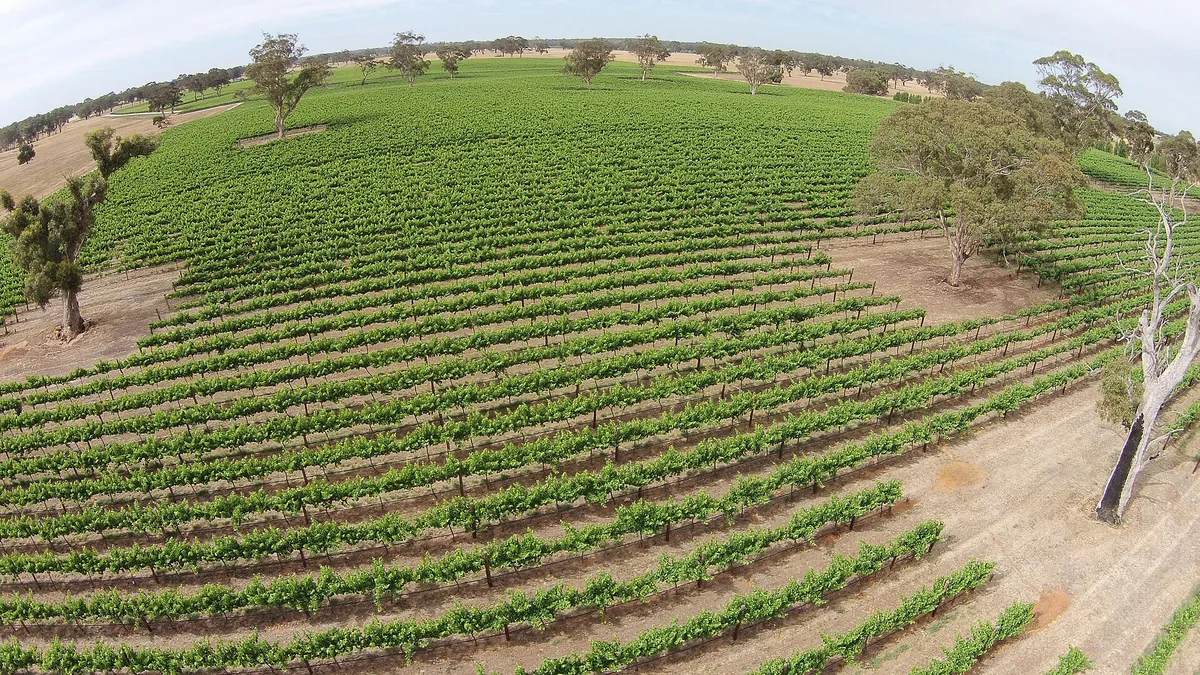 Wrattonbully wine country, South Australia